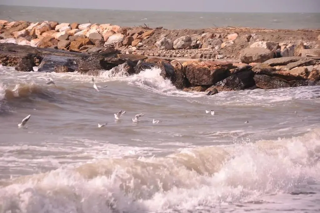 Sweet Cecina Mare Apartment Italy